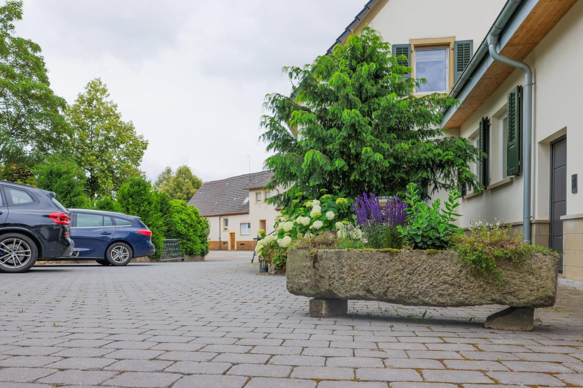 Heimatlodge Sinsheim Exteriér fotografie